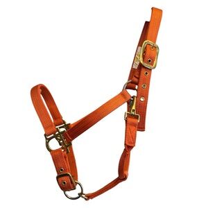Valhoma Adjustable Nylon Halter, Orange, 1100-1500 lbs (Large Horse)